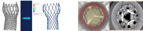 Examples of percutaneous heart valve fatigue evaluation